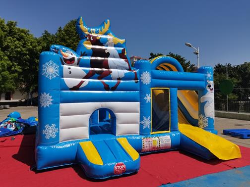 Frozen 8 - Inflatable Castle Bouncy inflatable slide bouncy castle