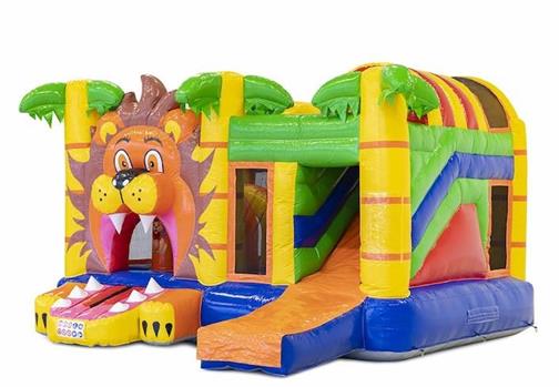 Inflatable bouncer - Bear inflatable slide bouncy castle