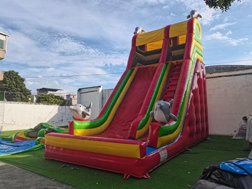 Inflatable slide bouncer 8 inflatable slide bouncy castle